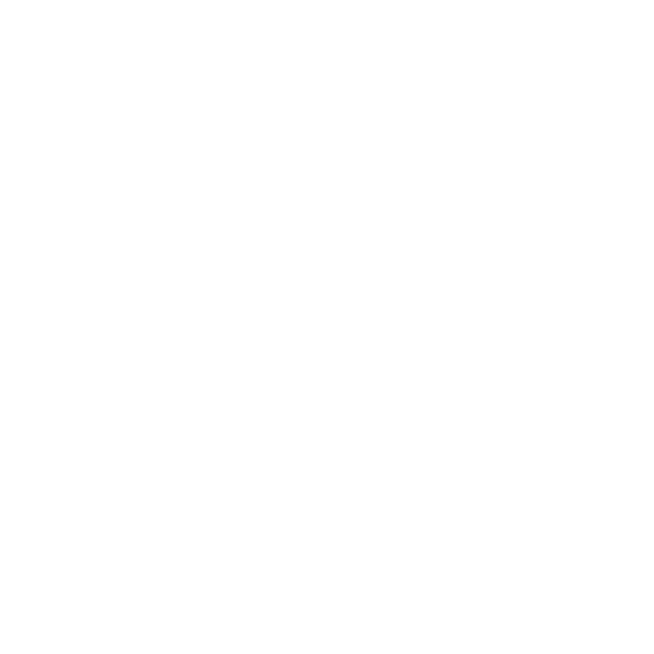 team (4)